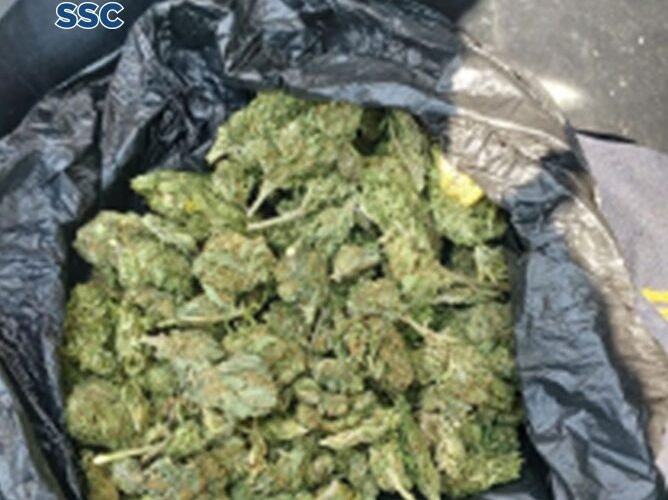 En dos acciones distintas, dos hombres fueron detenidos por efectivos de la SSC en posesión de aparente marihuana, en la alcaldía Cuauhtémoc