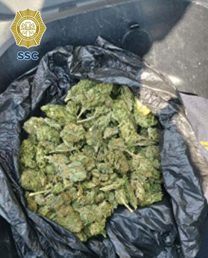 En dos acciones distintas, dos hombres fueron detenidos por efectivos de la SSC en posesión de aparente marihuana, en la alcaldía Cuauhtémoc