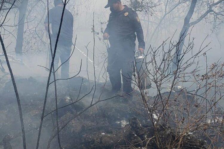 Policías de la SSC colaboran con los cuerpos de emergencia para sofocar el incendio de pastizal en una reserva ecológica en la alcaldía Tlalpan