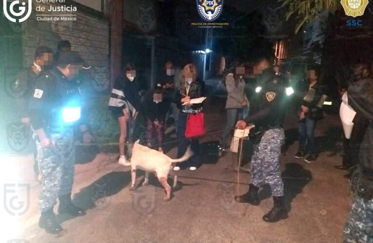 En cateo, FGJ y SSC rescatan a un canino que posiblemente era maltratado