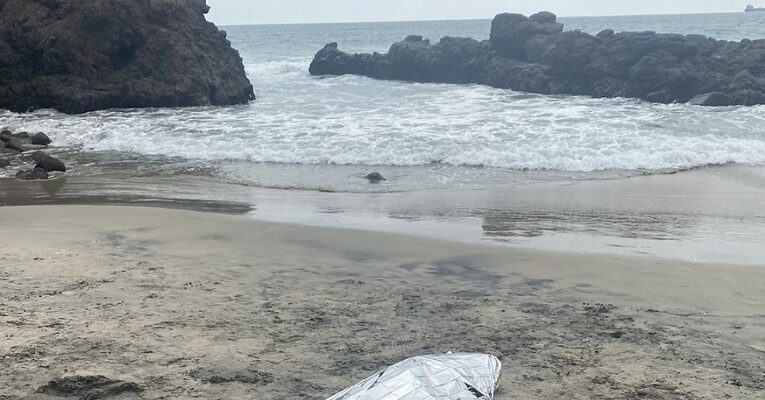 Hombre muere tras realizar clavados en Playa de Cabo Delfín