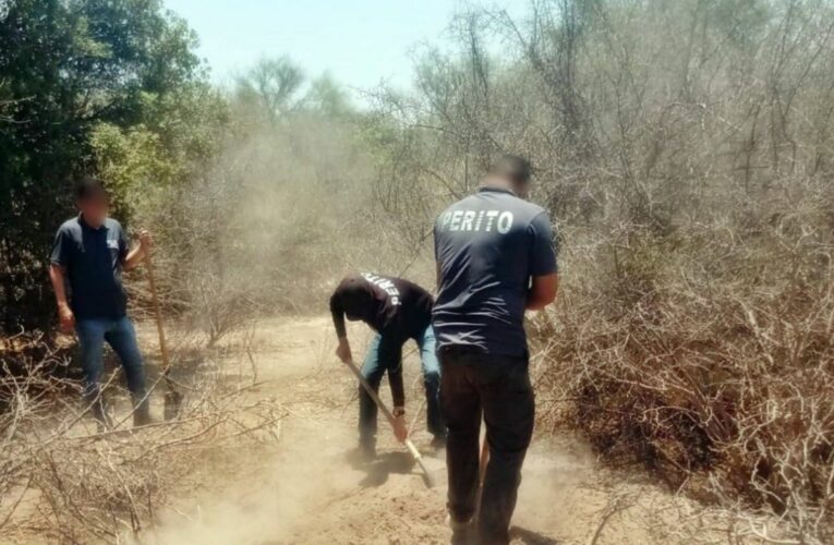 Encuentran restos humanos cercanos al territorio yaqui de Sonora