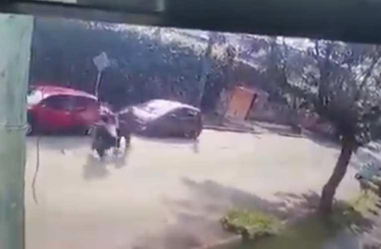 VIDEO: Atacan a estudiante en Cuernavaca con disparo en la cabeza