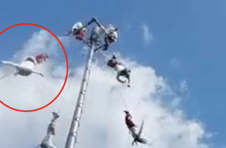 VIDEO: Cae Volador de Papantla de 25 metros de altura
