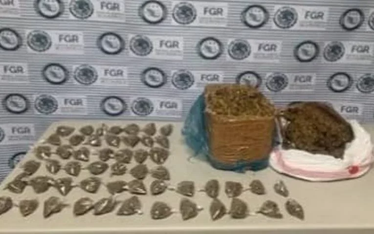 Asegura FGR 11 toneladas de marihuana y un millón de pastillas de fentanilo