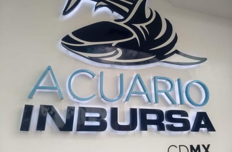 Muerte de bióloga marina en acuario de Inbursa crea controversia en redes