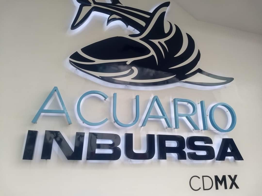 Acuario de Inbursa