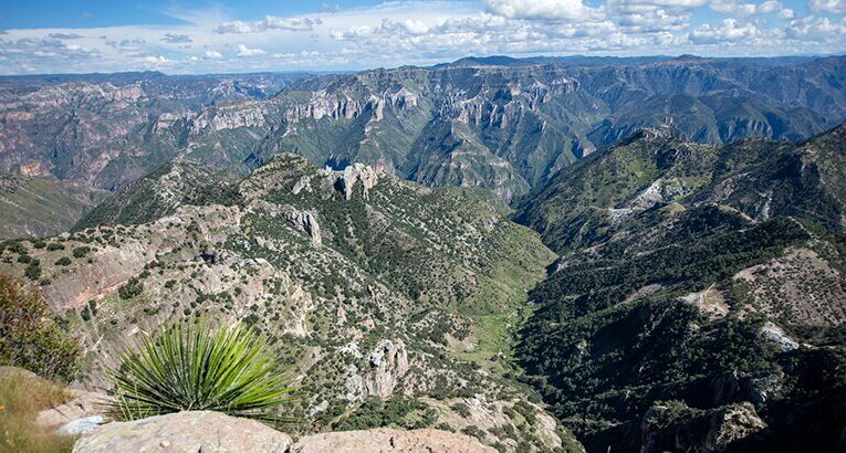 Chihuahua: Asesinan a familia en la sierra taraumara