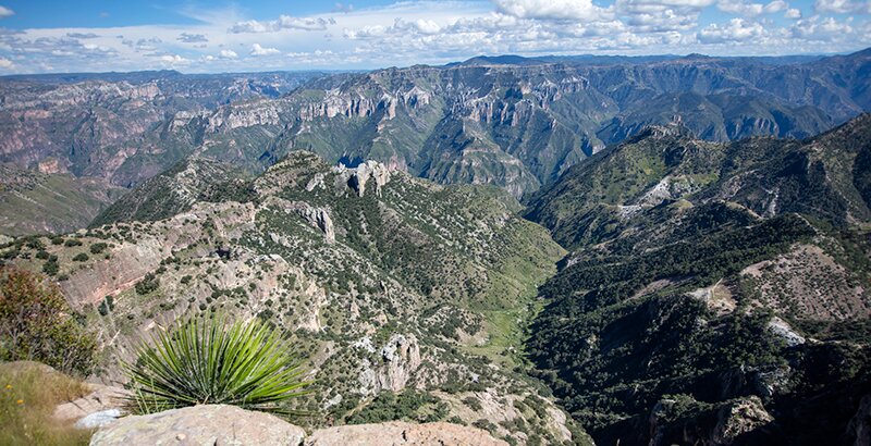 Tarahumara