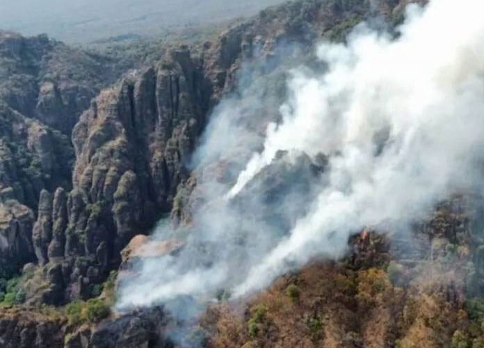 Después de haber consumido 95 hectareas, controlan el incendio en el cerro del Tepozteco