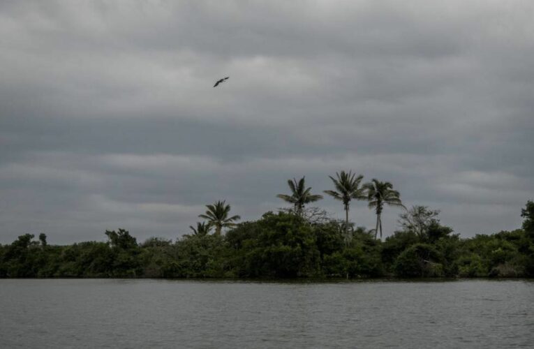 Familiares buscan restos humanos en la Laguna Perené, Veracruz