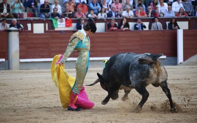 Si te metes con el toro: Arturo Gilio recibe fuerte cornada en su debut en Madrid