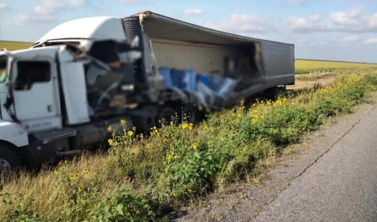Vuelca tráiler que en su interior trasladaba toneladas de perros y gatos muertos