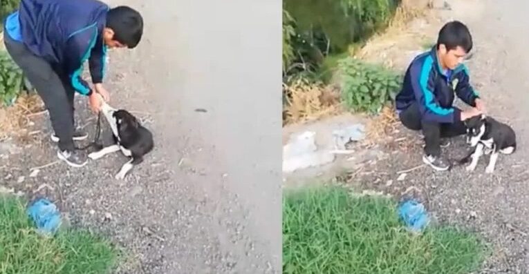 Video- Ata Hombre a su perro y lo avienta a río, vecino lo obliga a rescatarlo