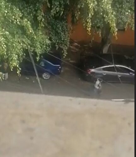 Video- Asaltan con violencia a vecino en alcaldía Benito Juárez