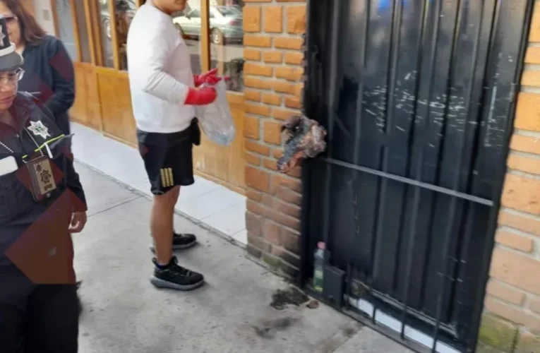 Una cabeza de cerdo quemada es colgada en la puerta de una casa en el Edoméx