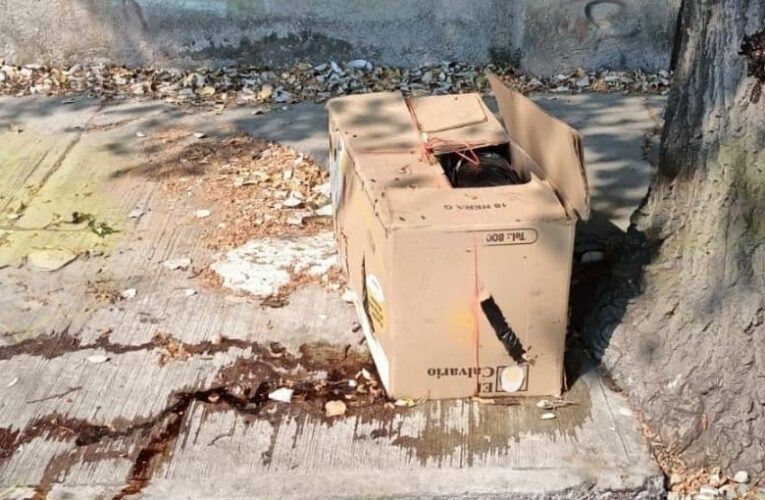 Reportan caja con bolsas negras y sangre en Metepec