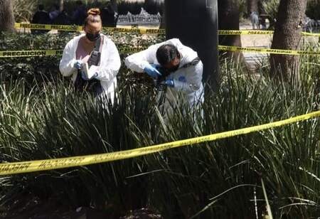 Es hallado un cadáver en la Alameda Central en CDMX