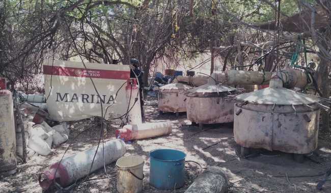 Marina desmantela laboratorios clandestinos en Sinaloa y erradica plantíos en Nayarit y Guerrero.