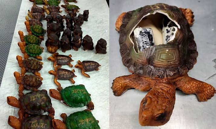 Guardia Nacional asegura envoltorios de cristal ocultos en artesanías con figuras de tortuga destinadas a Tahití