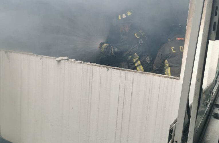 Incendio en la colonia Nápoles deja seis perritos sin vida