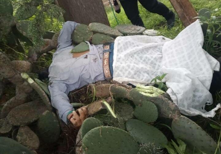 Trágico Accidente en Almoloya de Juárez: Hombre Pierde la Vida al Caer mientras Podaba un Árbol
