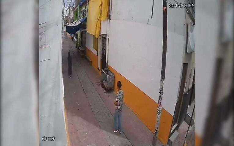 Robo a una Mujer Mientras Paseaba con su Bebé en Iztacalco: Asalto Capturado en Video