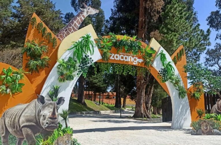Incidente en el Zoológico de Zacango: Felino Escapa, Personal Actúa Rápidamente