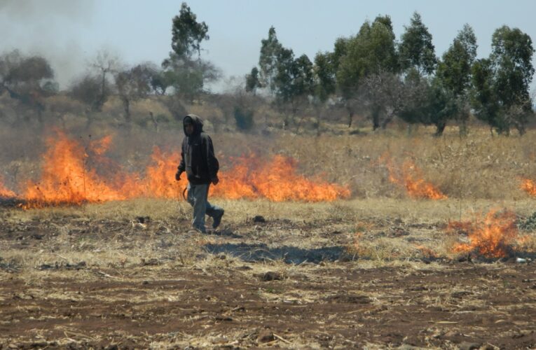 Anciano pierde la vida en incendio de milpa