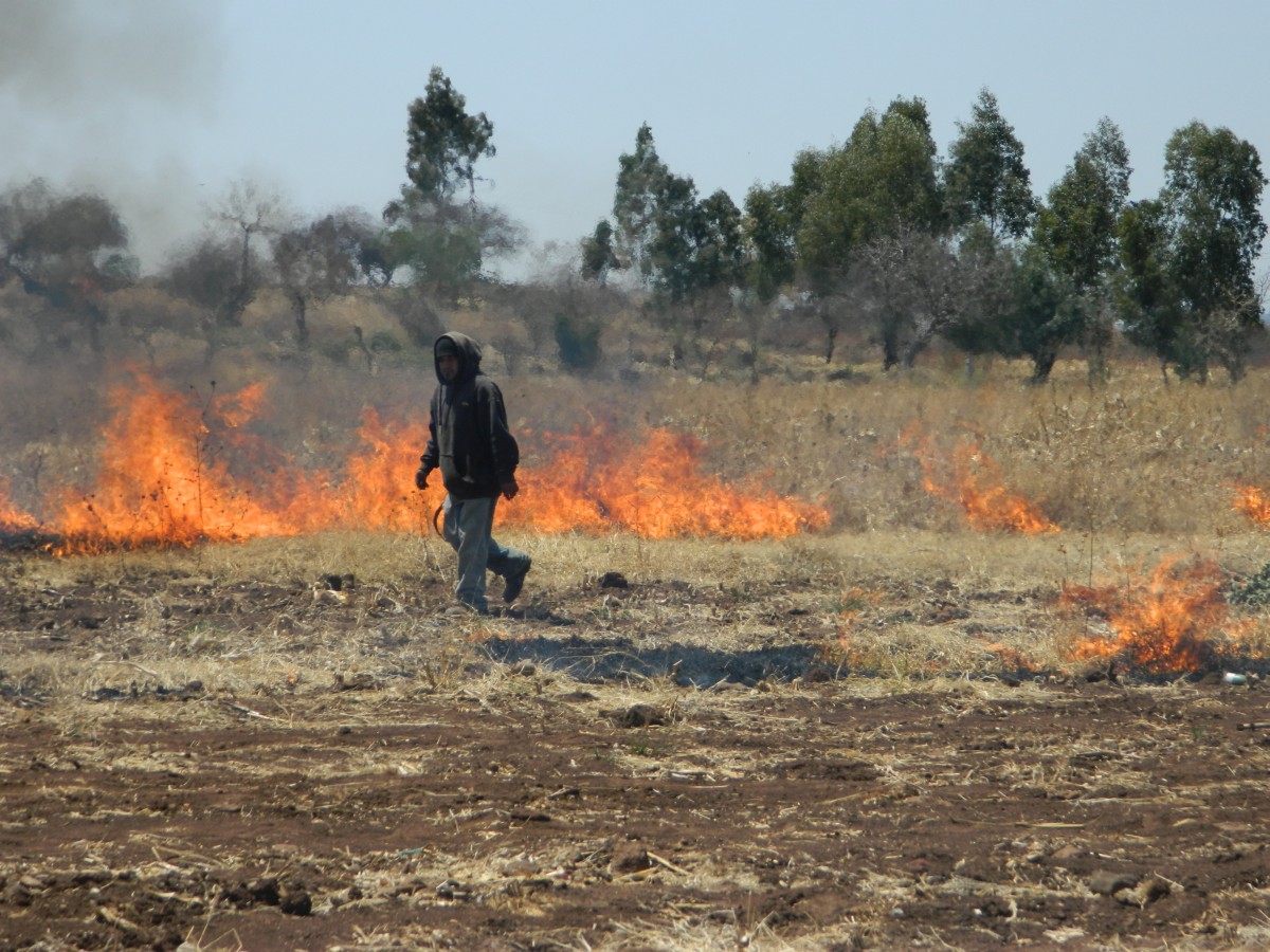 Anciano pierde la vida en incendio de milpa