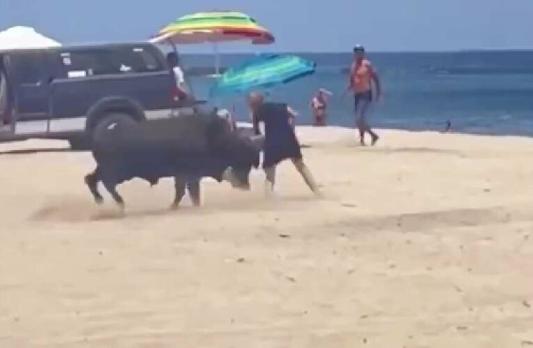 (VIDEO) Toro ataca a mujer en playa de Los Cabos