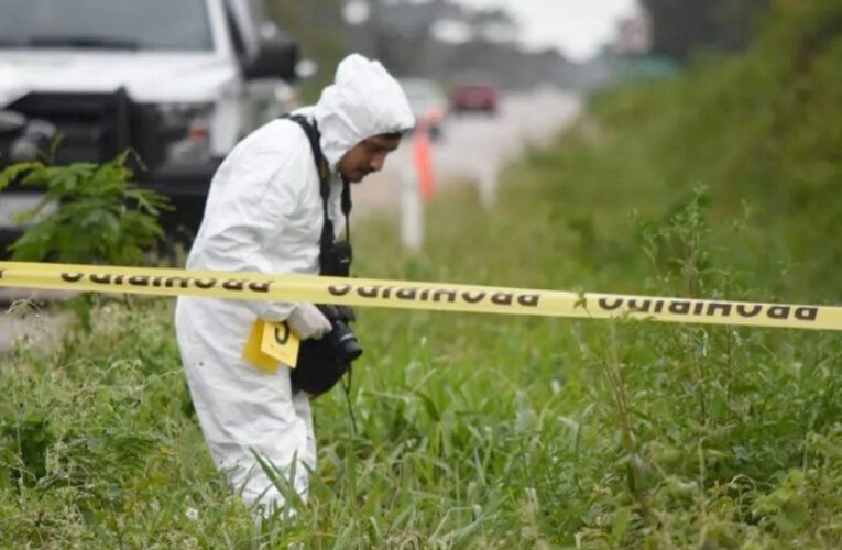 Hallan sin vida los cuerpos de cuatro hombres en una brecha de Lagos de Moreno