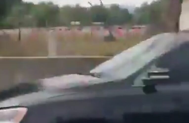 (Video)Conductor Llora y Pide Auxilio Tras Ataque a Tiros: Presuntos Delincuentes Operan en Autopistas México-Tulancingo y México-Pachuca