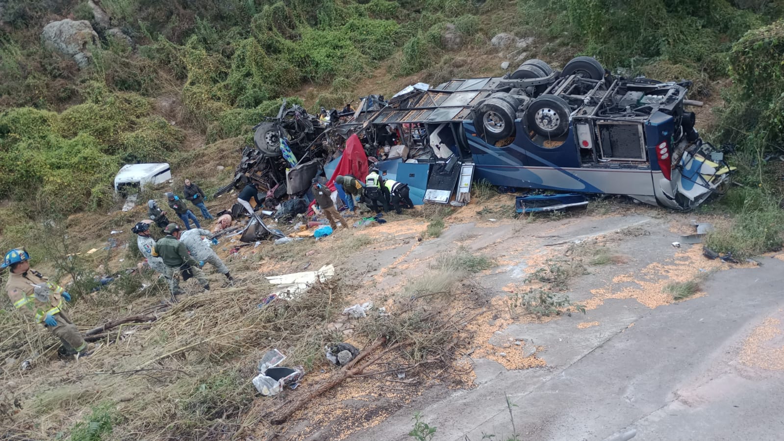 Zacatecas: 24 muertos y 5 heridos tras choque en carretera