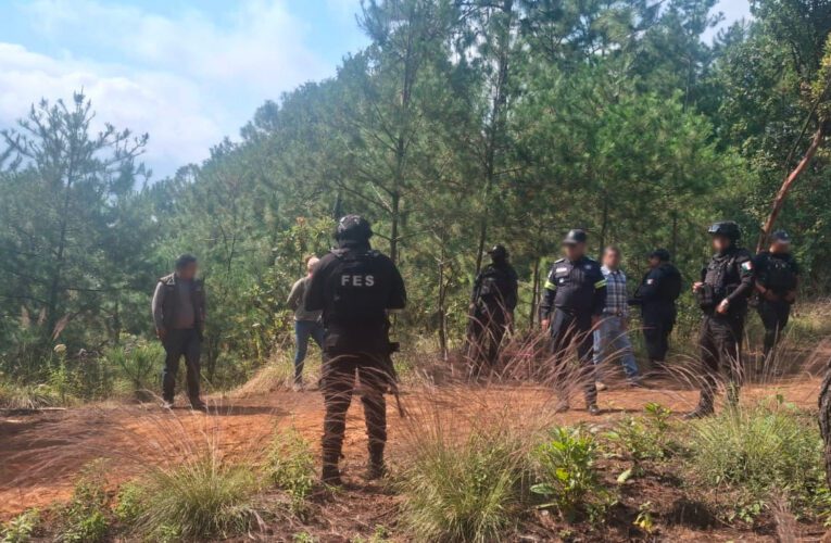 REALIZAN SECRETARÍA DE SEGURIDAD DEL EDOMEX, GUARDIA NACIONAL Y PROFEPA OPERATIVO CONTRA LA TALA CLANDESTINA Y CAZADORES