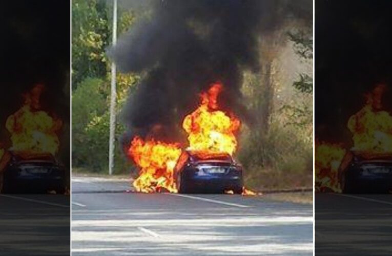 Tesla se estrella e incendia en Francia, deja 4 muertos