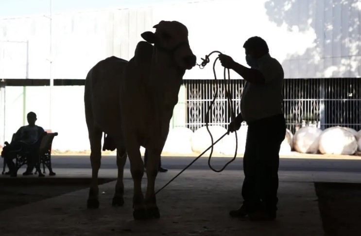 Prohibirán ‘narcocorridos’ en Feria Internacional Ganadera de Querétaro