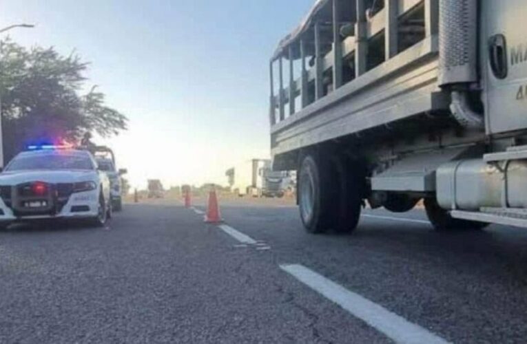 Asesinan al líder ganadero Ramón Velázquez en Sinaloa