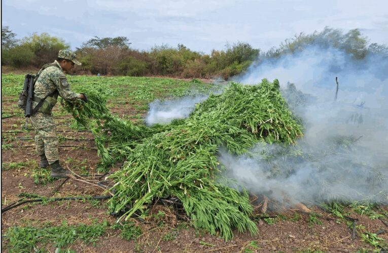 El Gabinete de Seguridad del Gobierno de México informa acciones relevantes del jueves 02 de enero de 2025