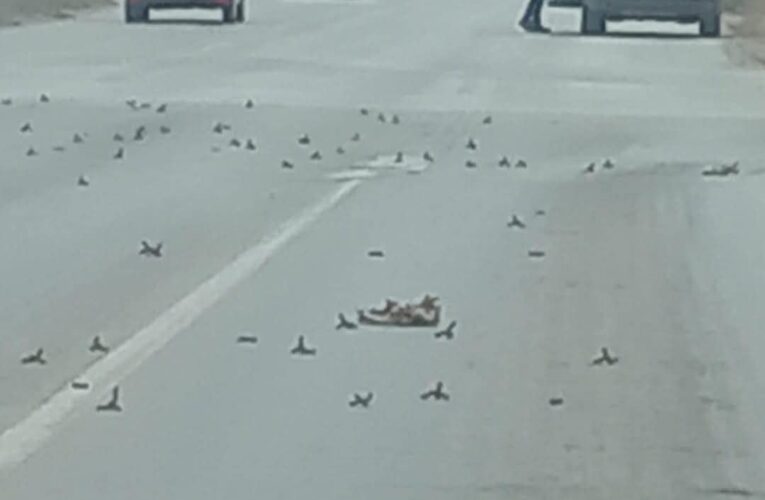 eportan poncha llantas en accesos a Reynosa y Río Bravo