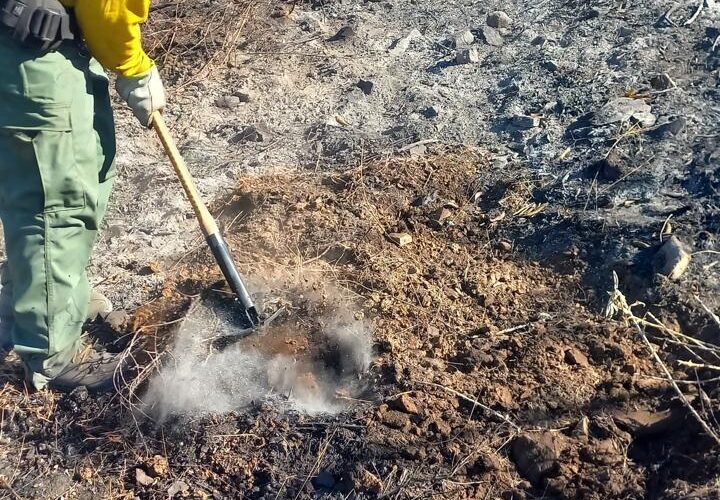 DELEGACIÓN MEXICANA EN LOS ÁNGELES, CALIFORNIA, REPORTA ACCIONES DE COLABORACIÓN EN EL COMBATE A INCENDIOS