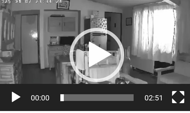 Irrumpen sujetos armados en casa de Cuernavaca y ejecutan a familia: violencia impacta a la zona de Altavista