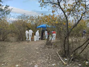 Descubren campamento clandestino en San Luis Potosí: hallan fosas y restos humanos