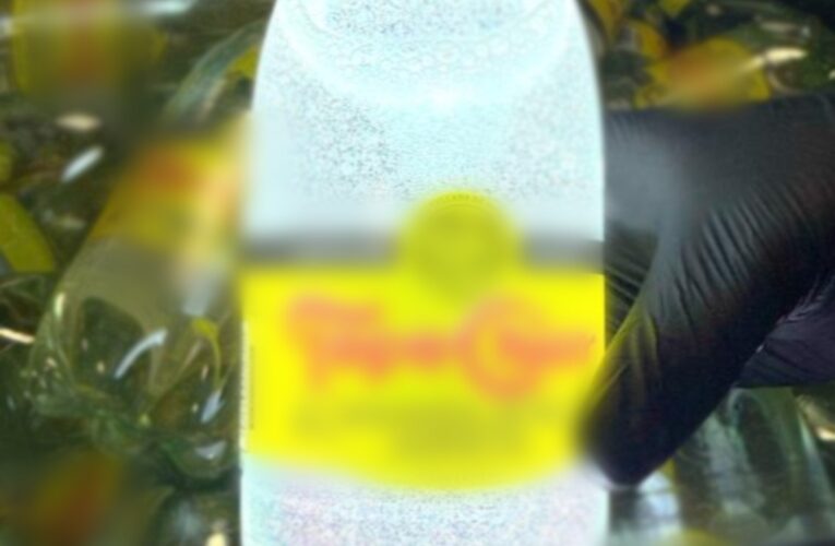 RESULTADO DE LA COOPERACIÓN ENTRE MÉXICO Y EEUU, EN EL PUENTE INTERNACIONAL ROMA, TEXAS, SE ASEGURÓ MÁS DE UNA TONELADA DE METANFETAMINA OCULTA EN BOTELLAS DE AGUA