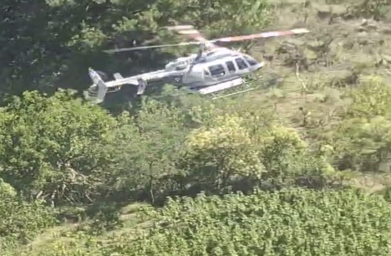 El Gabinete de Seguridad del Gobierno de México informa acciones relevantes del día 28 abril de 2025