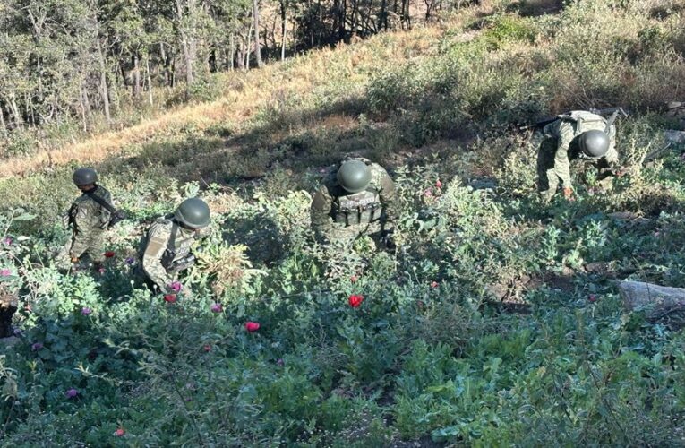 El Gabinete de Seguridad del Gobierno de México informa acciones relevantes del martes 29 de abril de 2025