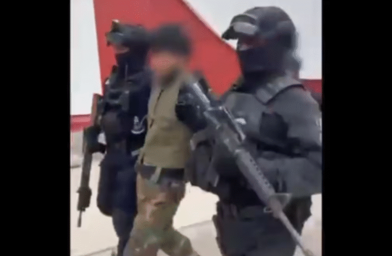 Operativo Federal en Michoacán: Fuerzas Armadas Abaten a 12 Integrantes del CJNG y Detienen a 9 Más