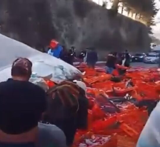 Rapiña tras volcadura de tráiler en autopista Toluca-Atlacomulco