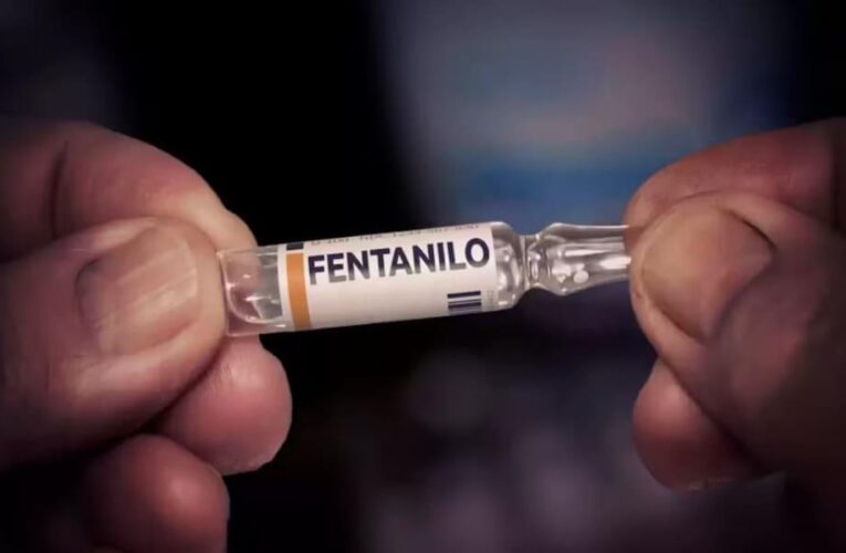 Decomisan 3 millones de pastillas de fentanilo
