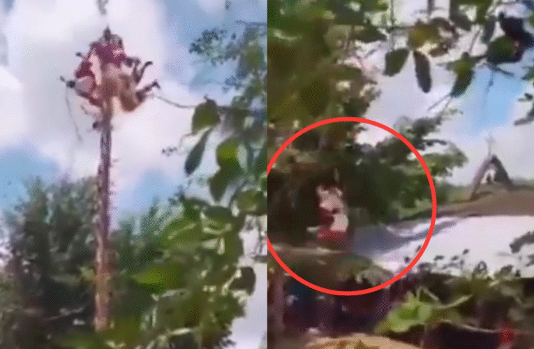 VIDEO | Incidente en Veracruz: caen voladores de Papantla durante ritual